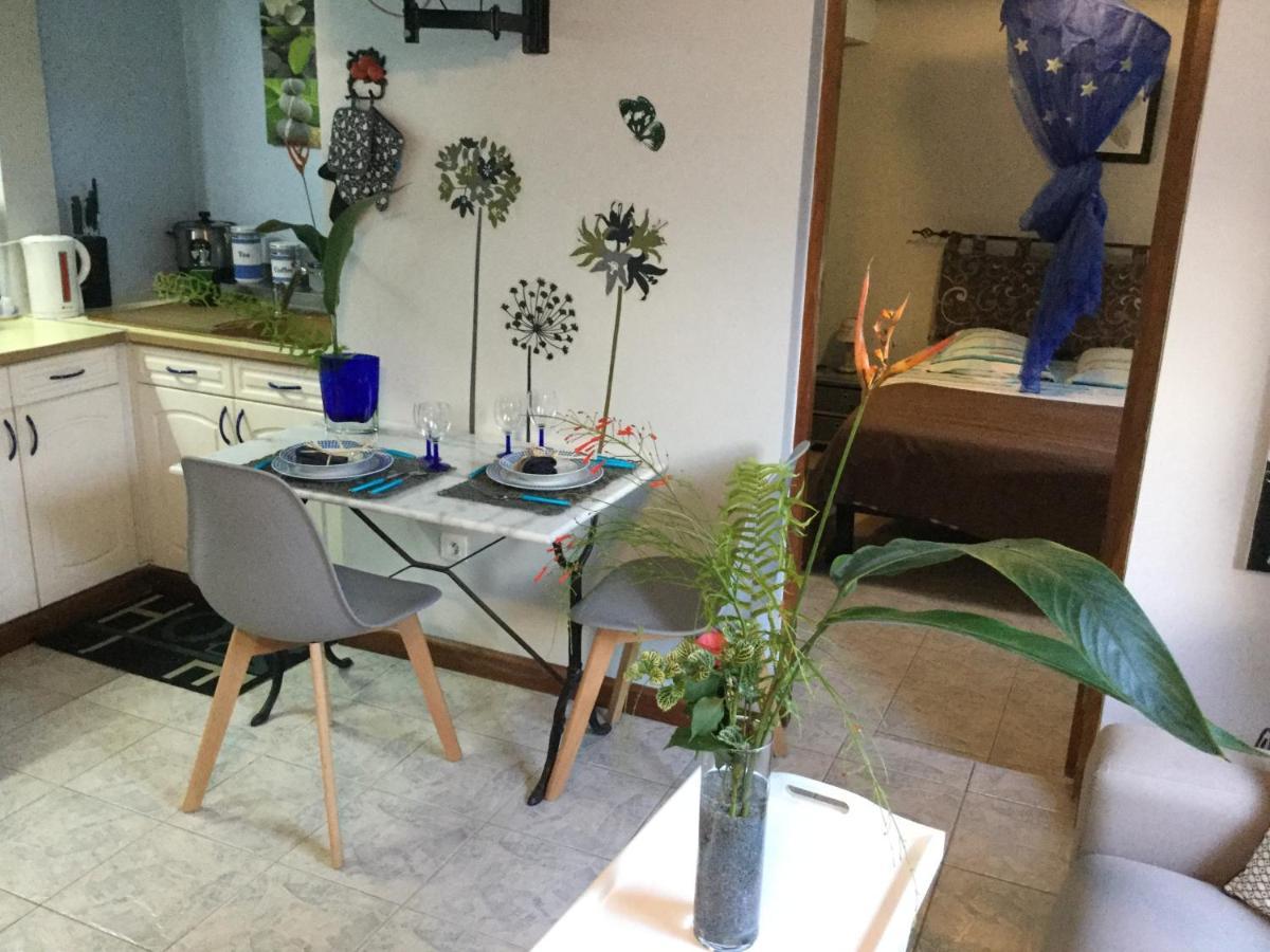 Les Joyaux De Balata Apartment Saint-Joseph Екстериор снимка
