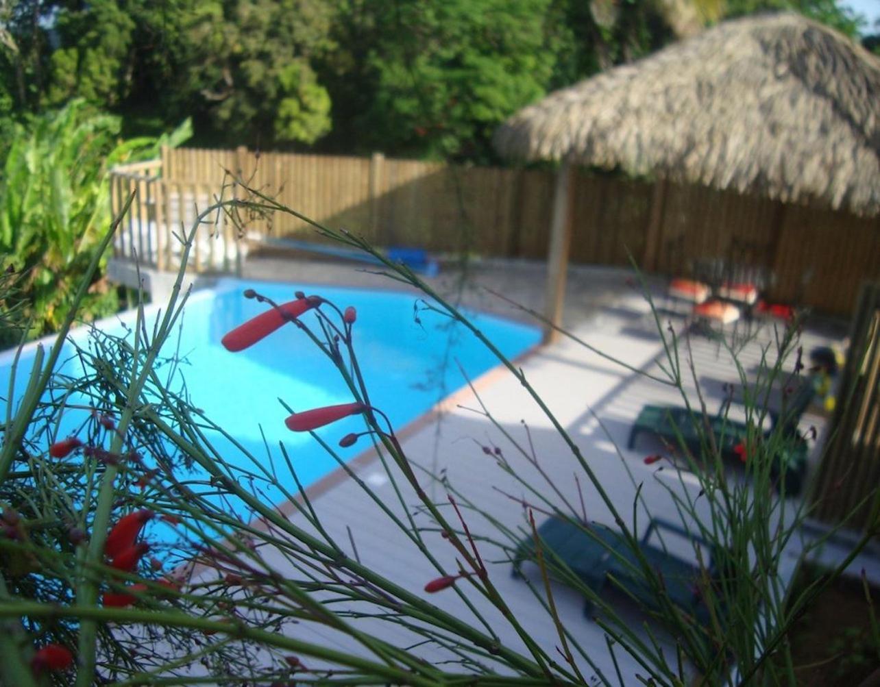 Les Joyaux De Balata Apartment Saint-Joseph Екстериор снимка